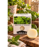 fondant artisanal menthe et basilic