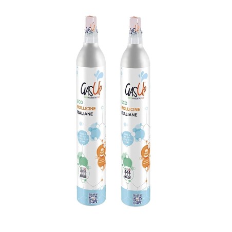 Lot de 2 Cylindres Neufs 425g à visser